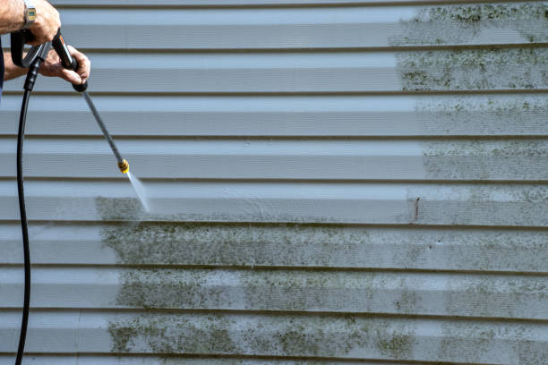 Best Steel Siding Installation  in Collings Lakes, NJ
