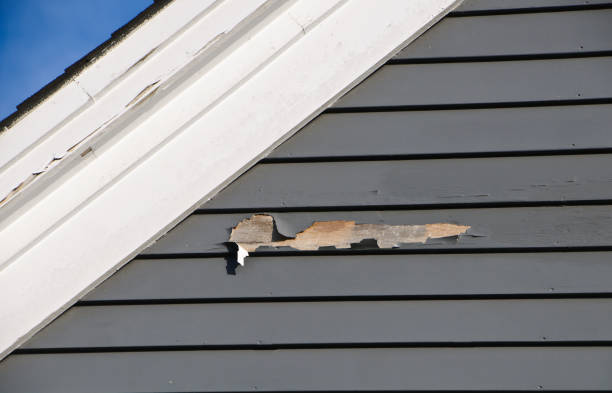 Best Brick Veneer Siding  in Collings Lakes, NJ