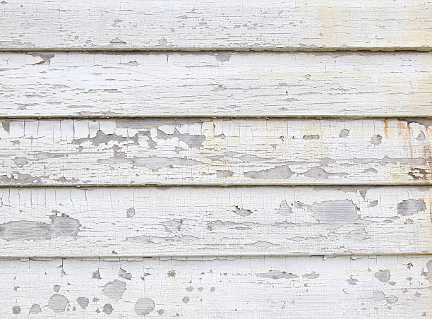 Best Stucco Siding  in Collings Lakes, NJ